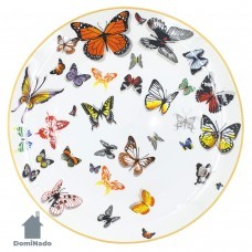 Тарелка из фарфора  Арт.XGCYGPP10.5-999